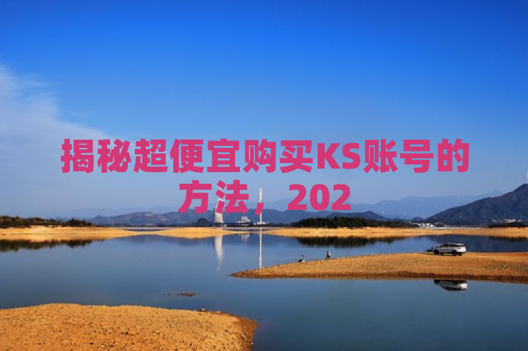 揭秘超便宜购买KS账号的方法，2025必学的最佳选择！