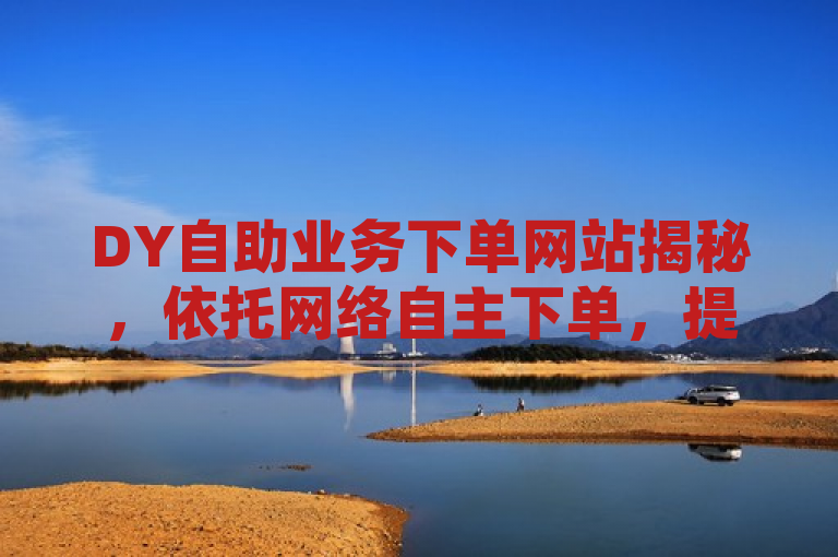 DY自助业务下单网站揭秘，依托网络自主下单，提升用户体验！
