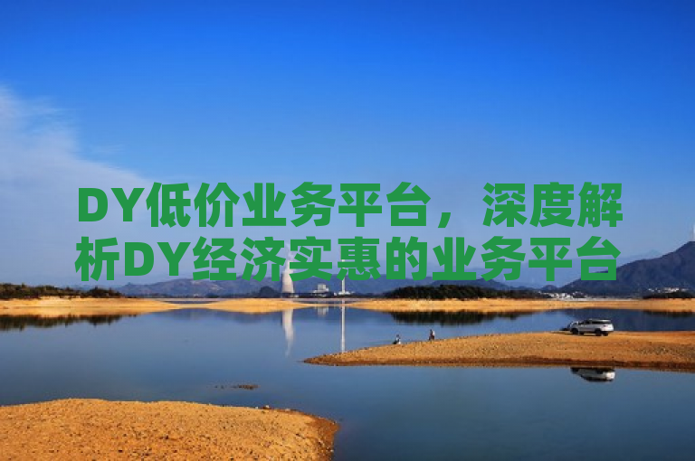 DY低价业务平台，深度解析DY经济实惠的业务平台。