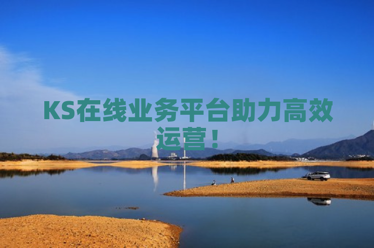 KS在线业务平台助力高效运营！