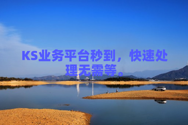 KS业务平台秒到，快速处理无需等。