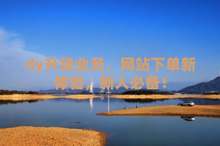 dy升级业务，网站下单新体验，新人必备！
