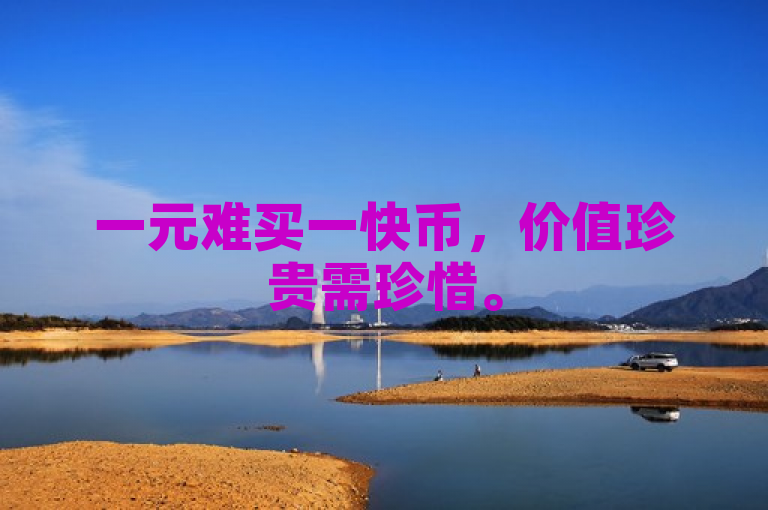 一元难买一快币，价值珍贵需珍惜。