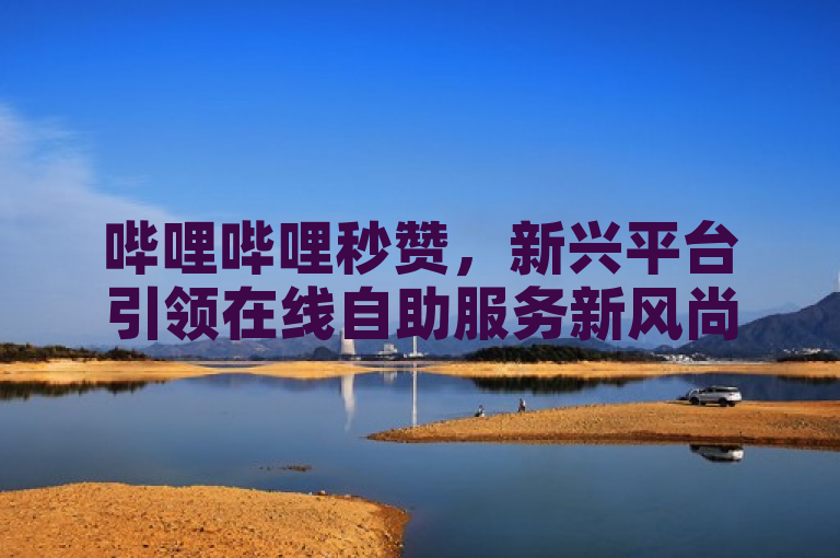 哔哩哔哩秒赞，新兴平台引领在线自助服务新风尚。