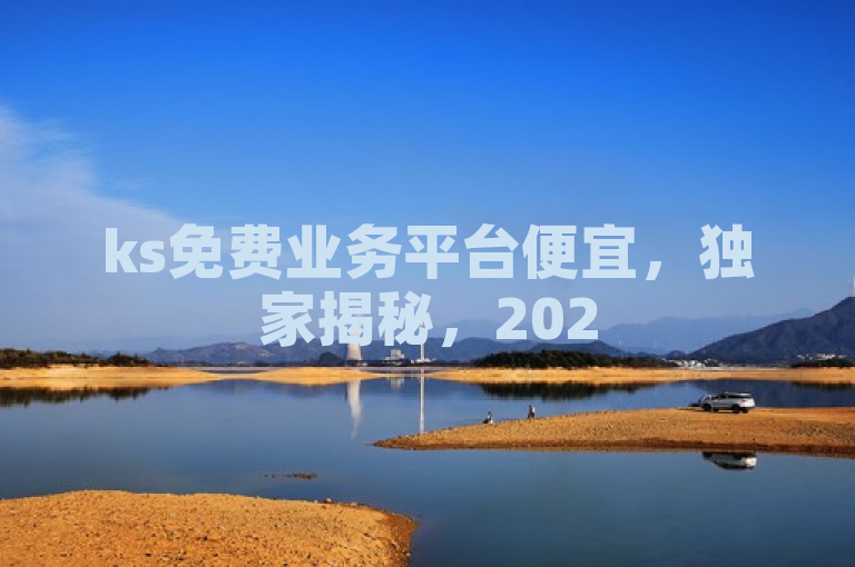 ks免费业务平台便宜，独家揭秘，2025必学！