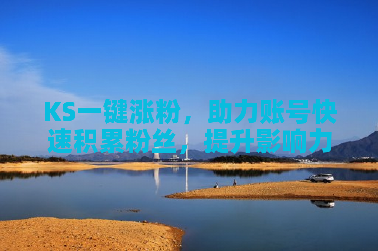 KS一键涨粉，助力账号快速积累粉丝，提升影响力。