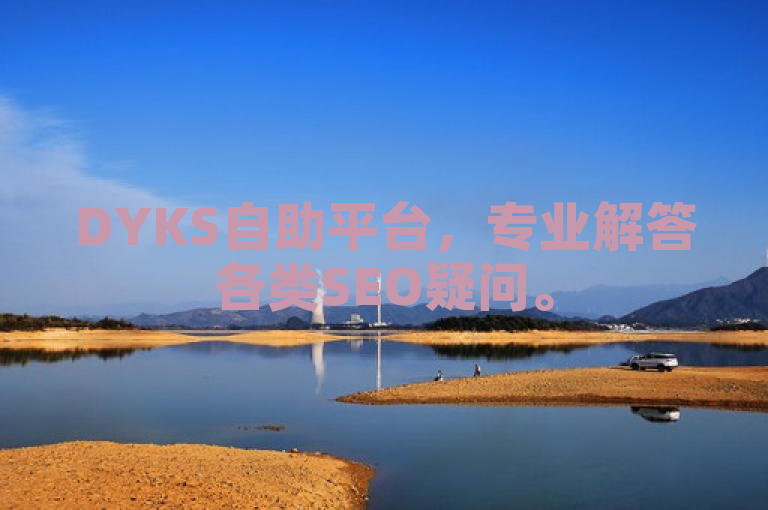 DYKS自助平台，专业解答各类SEO疑问。