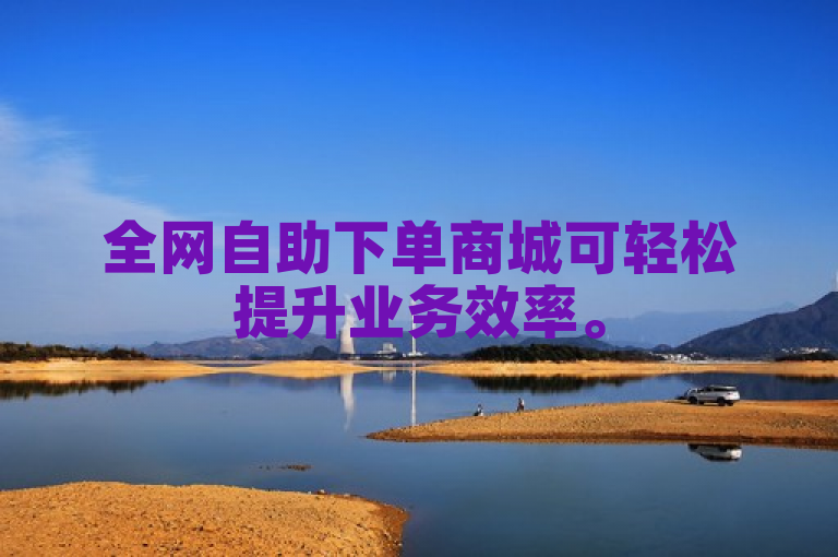 全网自助下单商城可轻松提升业务效率。