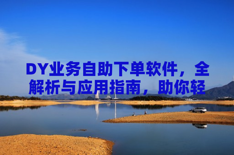DY业务自助下单软件，全解析与应用指南，助你轻松掌握。