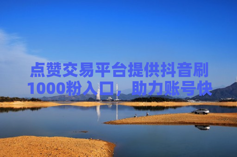 点赞交易平台提供抖音刷1000粉入口，助力账号快速涨粉。