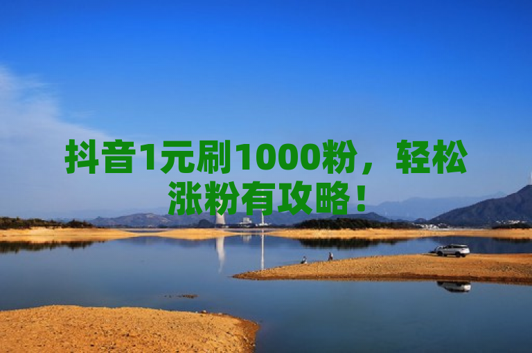 抖音1元刷1000粉，轻松涨粉有攻略！