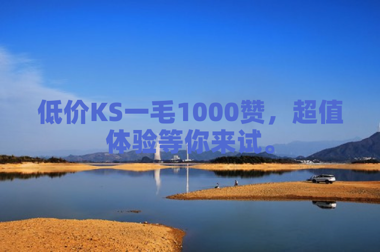 低价KS一毛1000赞，超值体验等你来试。