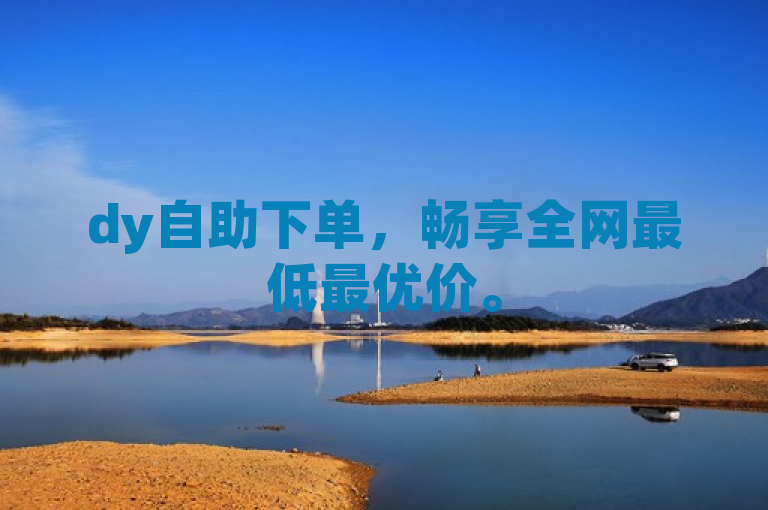 dy自助下单，畅享全网最低最优价。