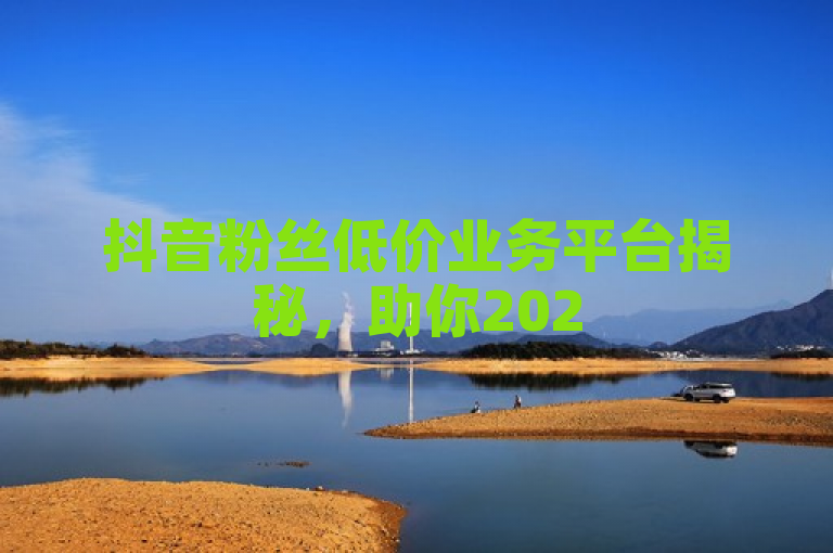 抖音粉丝低价业务平台揭秘，助你2025逆袭！
