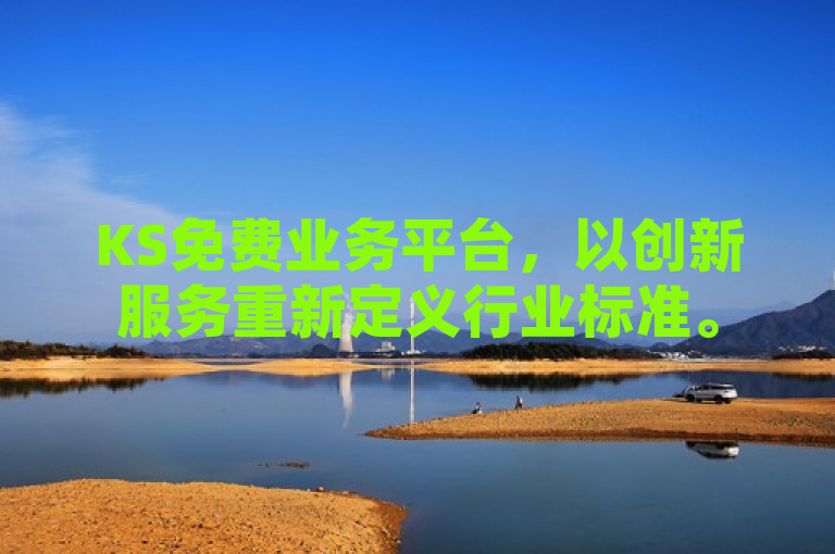 KS免费业务平台，以创新服务重新定义行业标准。
