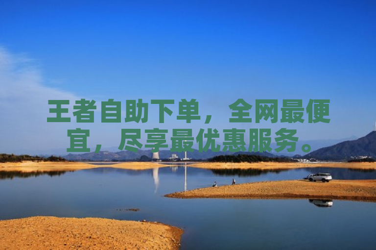 王者自助下单，全网最便宜，尽享最优惠服务。