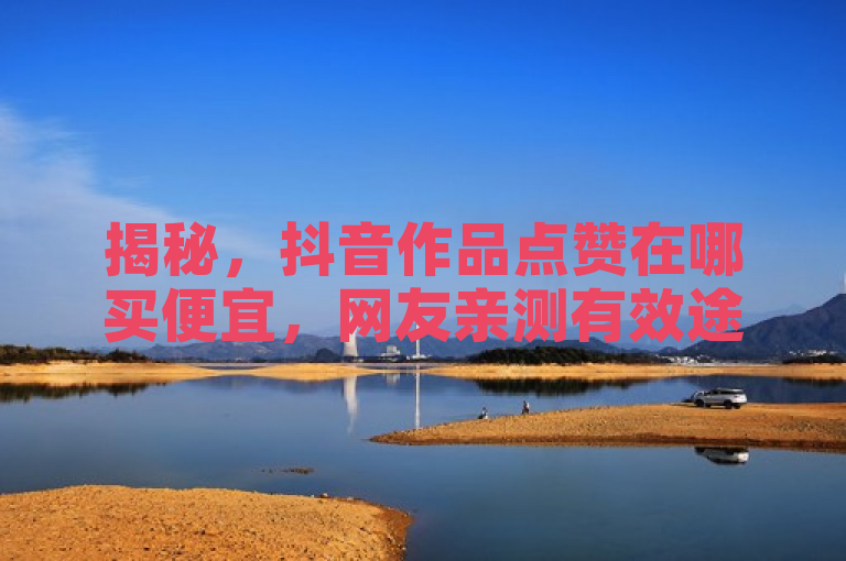 揭秘，抖音作品点赞在哪买便宜，网友亲测有效途径！