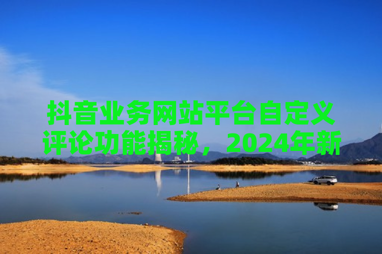 抖音业务网站平台自定义评论功能揭秘，2024年新创意！