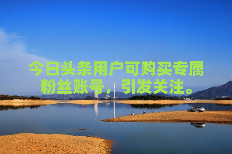 今日头条用户可购买专属粉丝账号，引发关注。