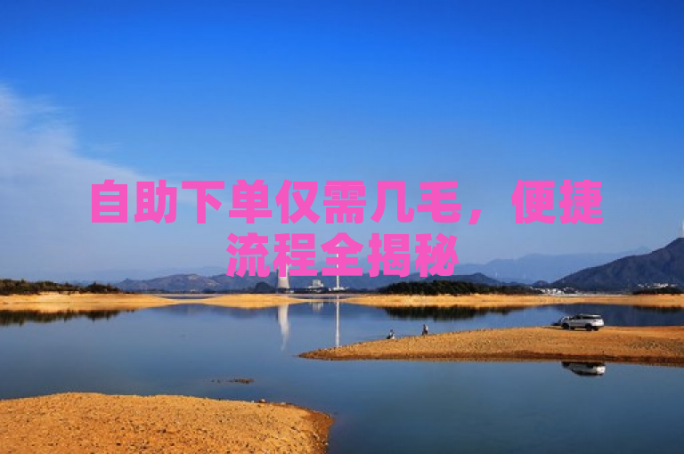 自助下单仅需几毛，便捷流程全揭秘