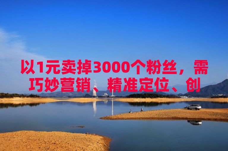 以1元卖掉3000个粉丝，需巧妙营销、精准定位、创新策略。