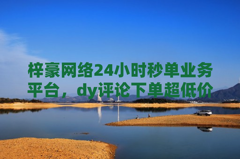 梓豪网络24小时秒单业务平台，dy评论下单超低价！