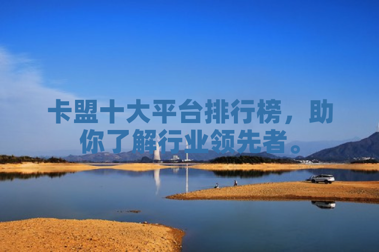 卡盟十大平台排行榜，助你了解行业领先者。