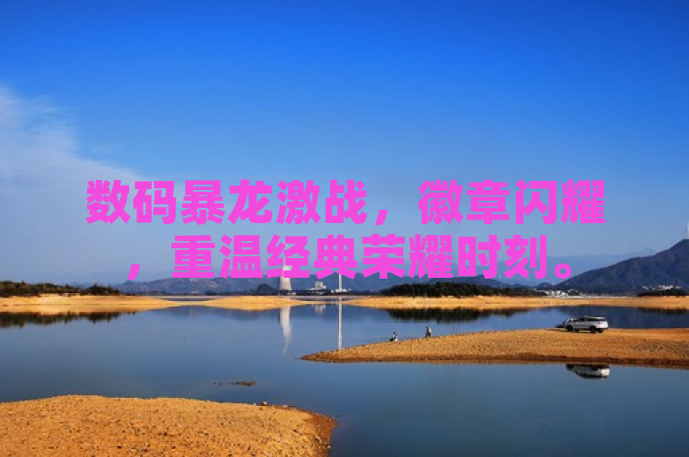 数码暴龙激战，徽章闪耀，重温经典荣耀时刻。