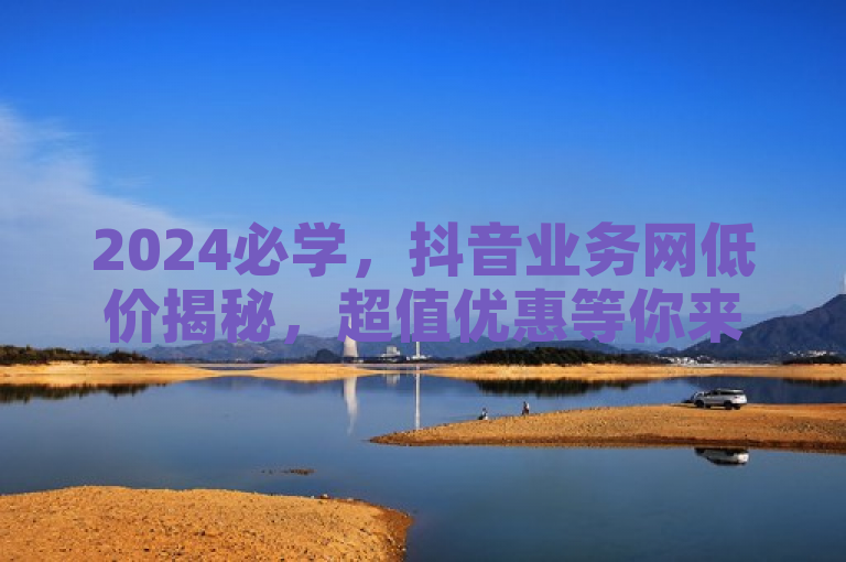 2024必学，抖音业务网低价揭秘，超值优惠等你来享！