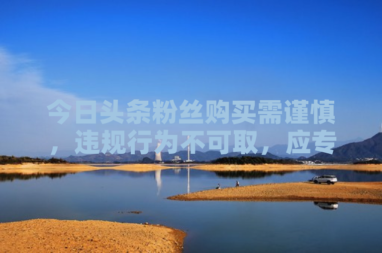 今日头条粉丝购买需谨慎，违规行为不可取，应专注优质内容创作自然吸粉。