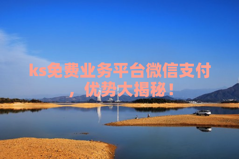 ks免费业务平台微信支付，优势大揭秘！