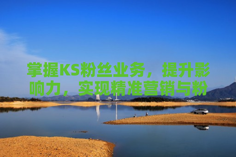 掌握KS粉丝业务，提升影响力，实现精准营销与粉丝互动。