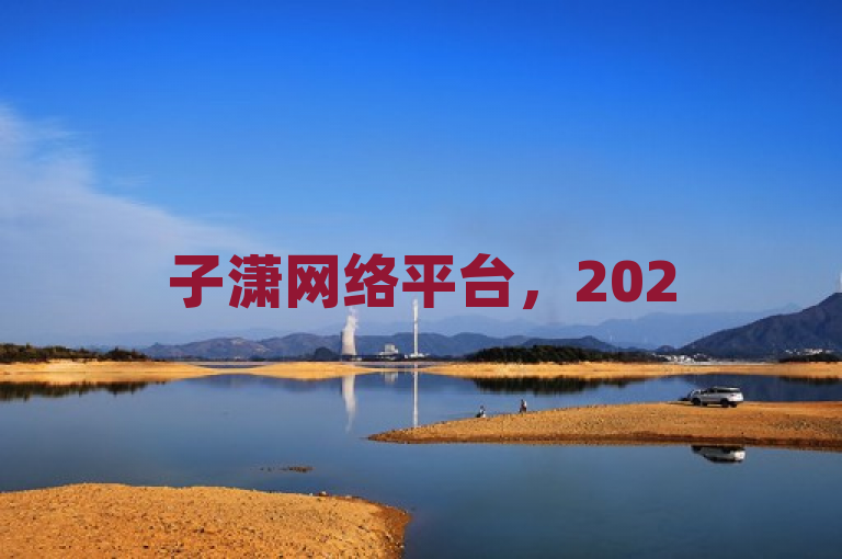 子潇网络平台，2025年优化必备，揭秘独家策略！