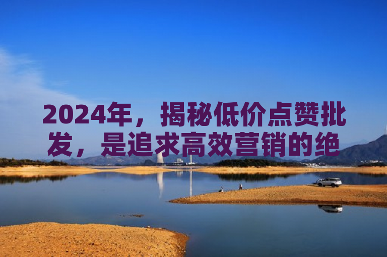 2024年，揭秘低价点赞批发，是追求高效营销的绝佳选择！