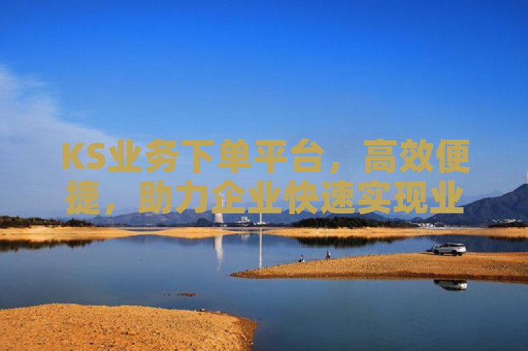 KS业务下单平台，高效便捷，助力企业快速实现业务增长。