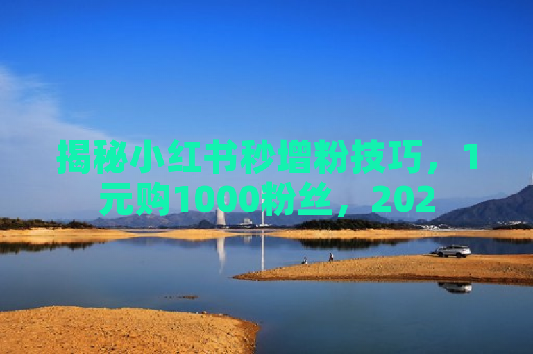 揭秘小红书秒增粉技巧，1元购1000粉丝，2025必备！