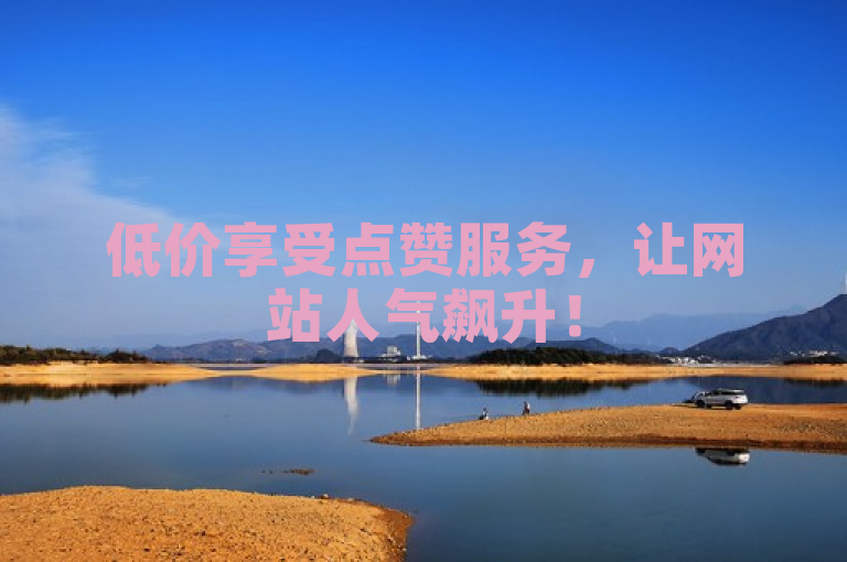 低价享受点赞服务，让网站人气飙升！