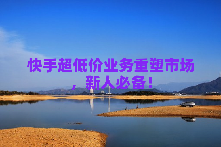 快手超低价业务重塑市场，新人必备！