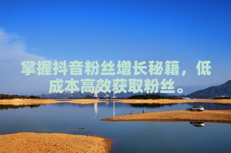 掌握抖音粉丝增长秘籍，低成本高效获取粉丝。