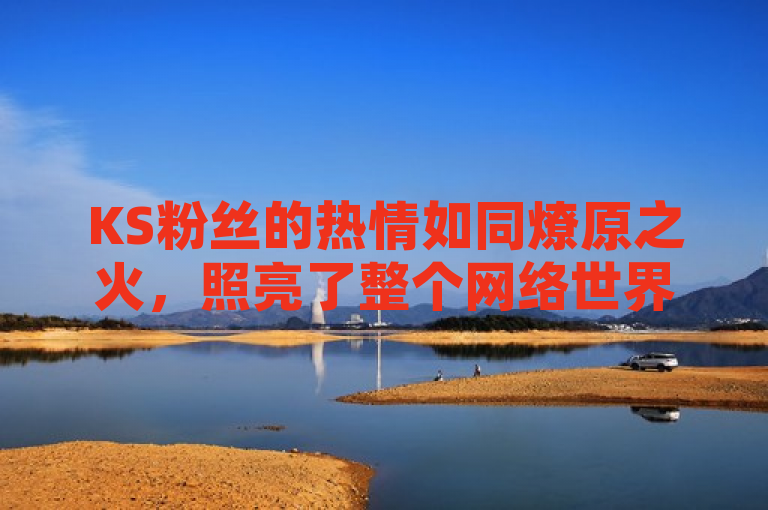 KS粉丝的热情如同燎原之火，照亮了整个网络世界。