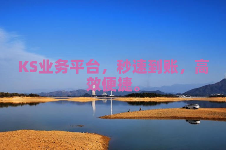 KS业务平台，秒速到账，高效便捷。