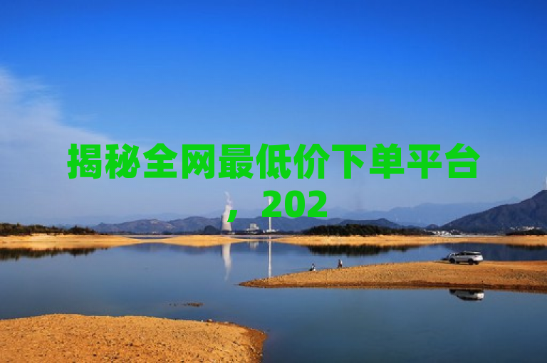 揭秘全网最低价下单平台，2025年必备省钱秘籍！