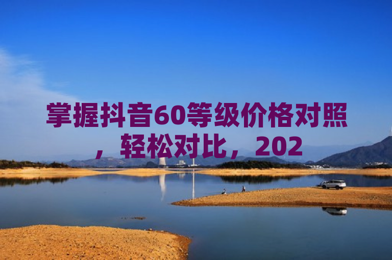 掌握抖音60等级价格对照，轻松对比，2025年必备技能！