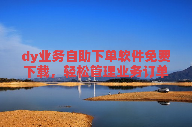 dy业务自助下单软件免费下载，轻松管理业务订单。