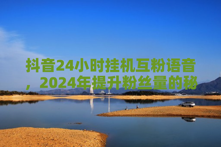 抖音24小时挂机互粉语音，2024年提升粉丝量的秘诀大公开！
