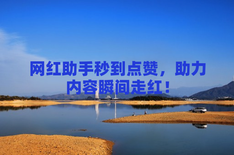 网红助手秒到点赞，助力内容瞬间走红！