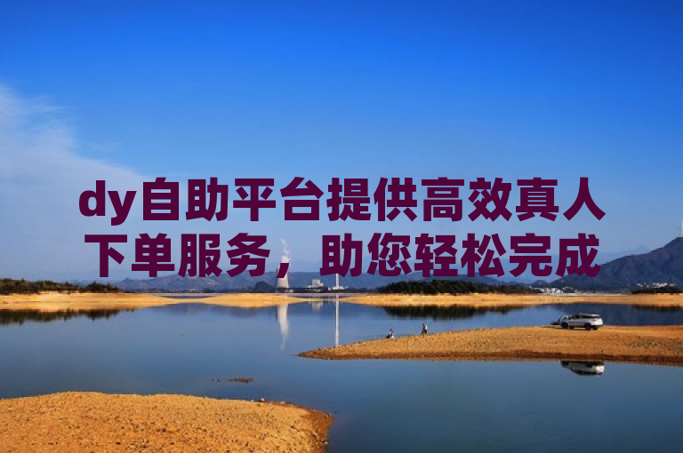 dy自助平台提供高效真人下单服务，助您轻松完成业务需求。