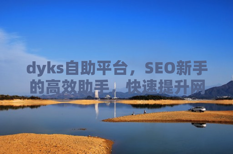 dyks自助平台，SEO新手的高效助手，快速提升网站排名！