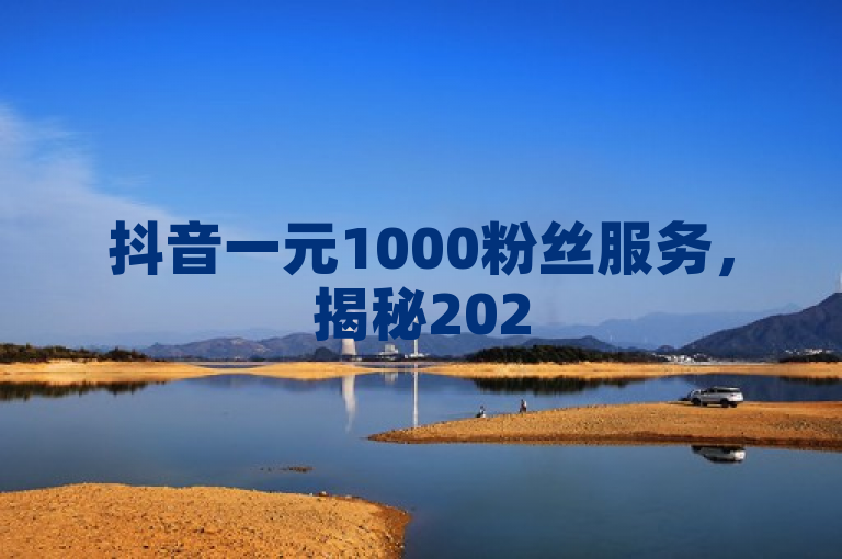 抖音一元1000粉丝服务，揭秘2025必学技巧！