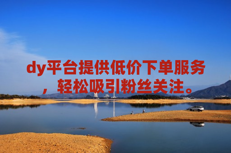 dy平台提供低价下单服务，轻松吸引粉丝关注。